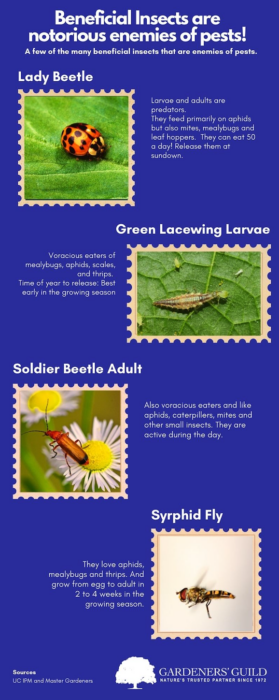 Pests Natural Enemies Infographic