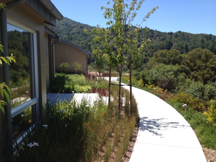 Gardeners' Guild SF Bay Area Full Service Landscaping