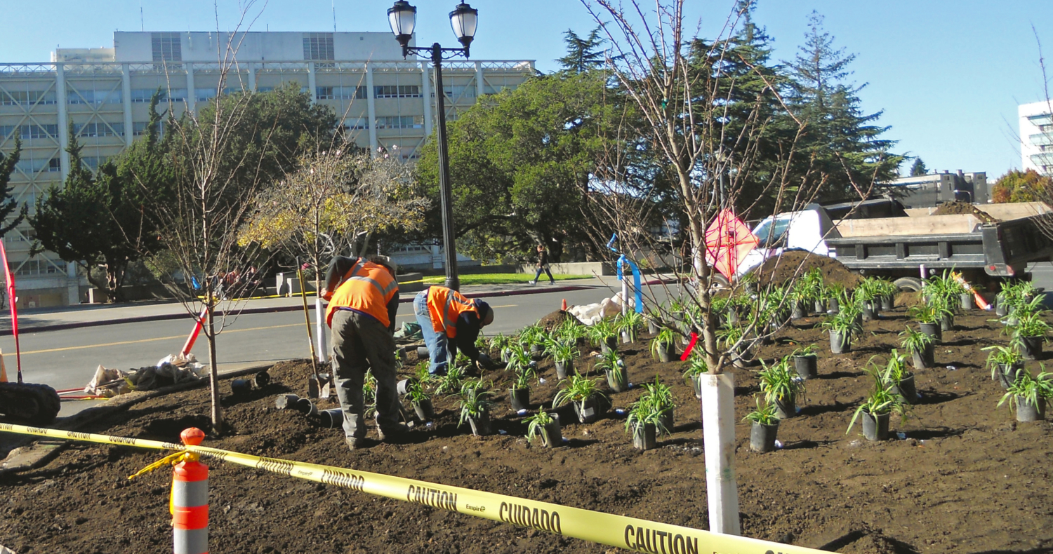 ConstrUCBerkeley – Gardeners' Guild SF Bay Area Full Service Landscaping