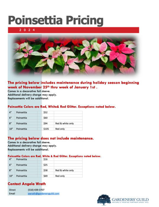 Link to Poinsettia pricing